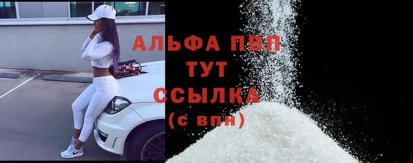 дживик Белокуриха