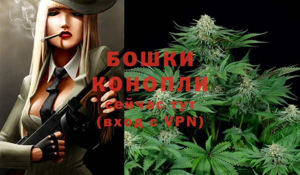 молекула духа Беломорск
