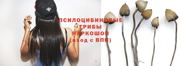 молекула духа Беломорск