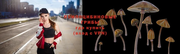 молекула духа Беломорск