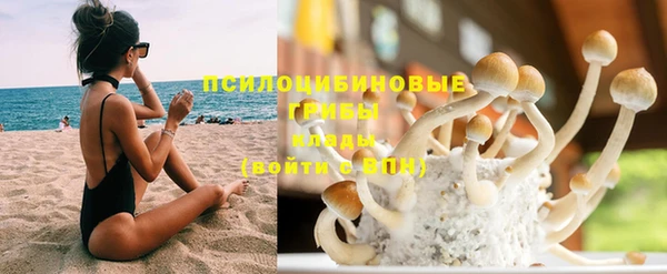 дживик Белокуриха